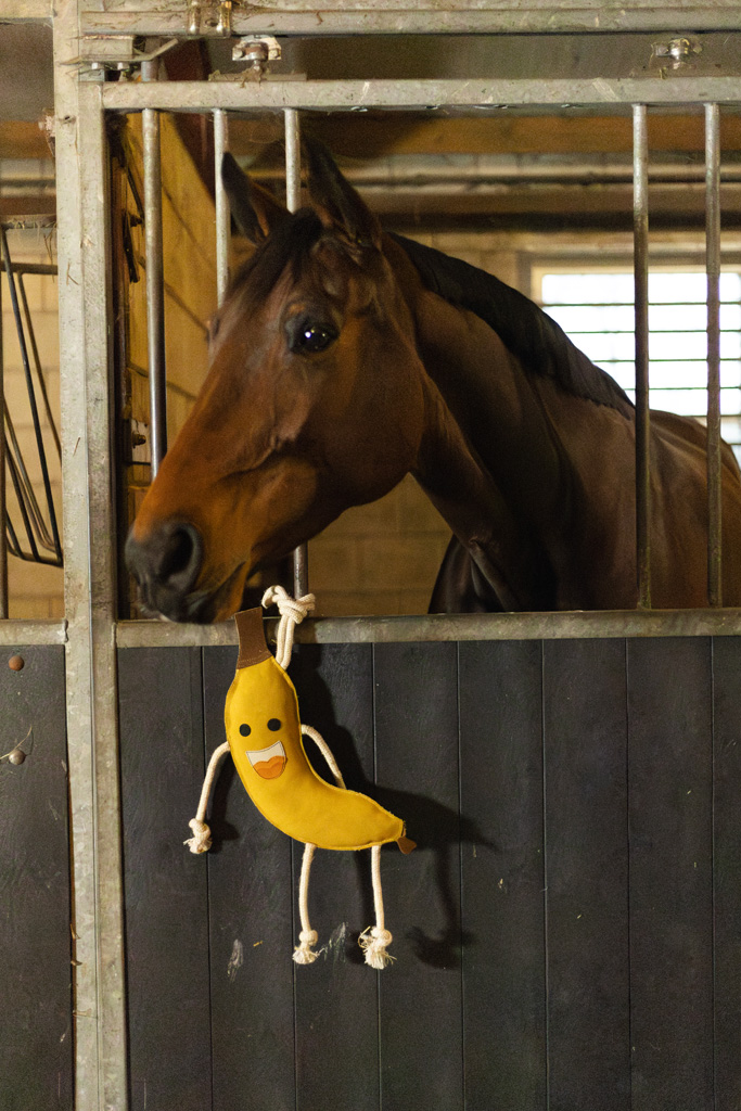 Excellent Horse Foodie Friends Banana — afbeelding 3