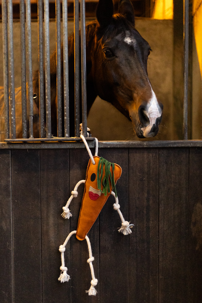Excellent Horse Foodie Friends Carrot — afbeelding 3