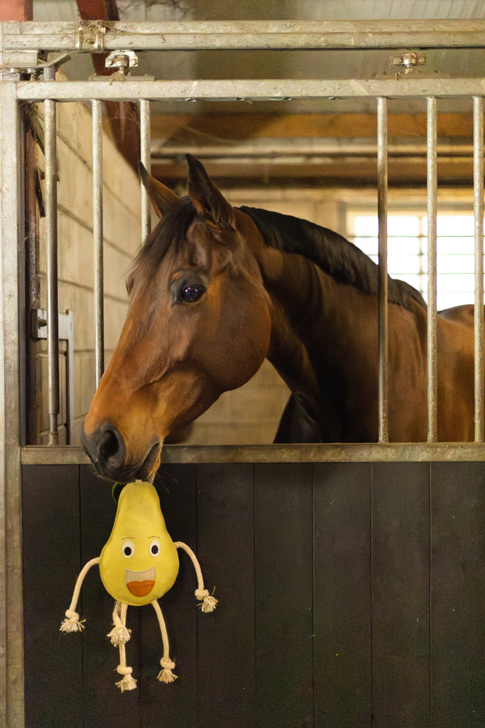 Excellent Horse Foodie Friends Pear — afbeelding 4