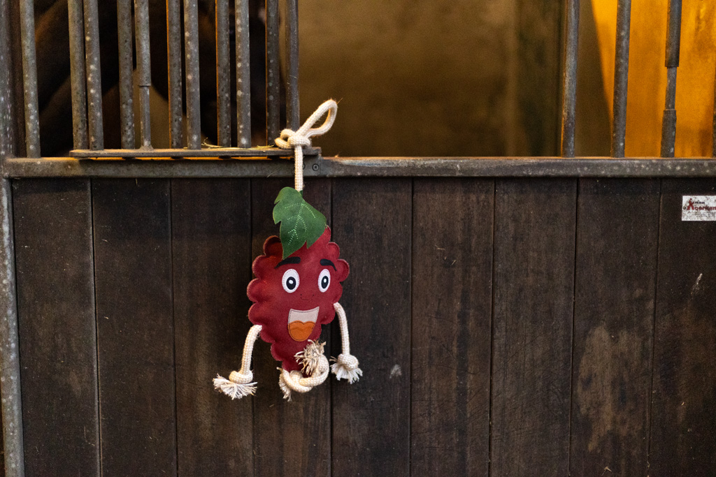Excellent Horse Foodie Friends Raspberry — afbeelding 3
