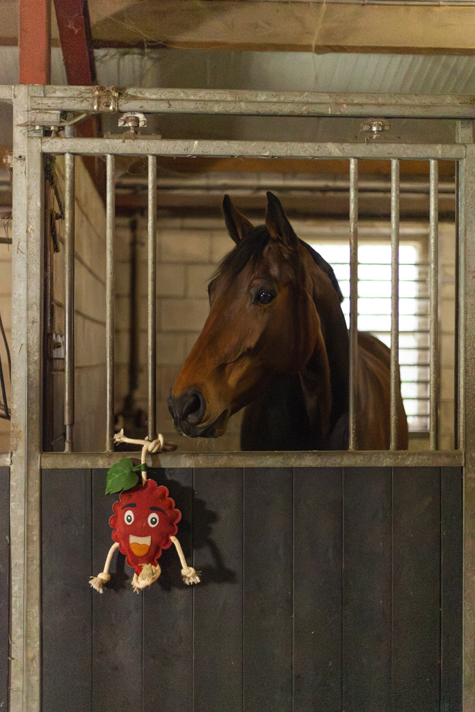 Excellent Horse Foodie Friends Raspberry — afbeelding 4