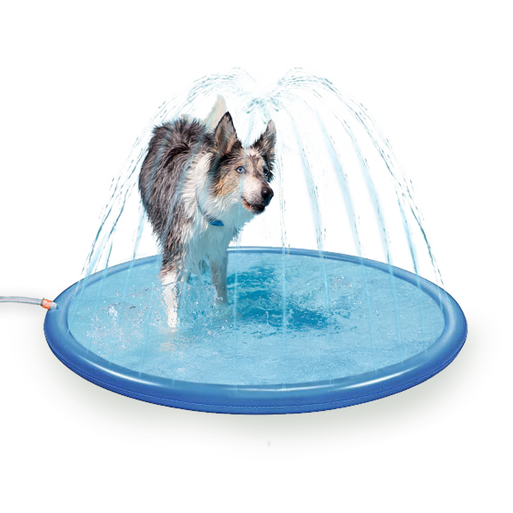 Coolpets Splash Sprinkler Pad S 100 cm — afbeelding 2