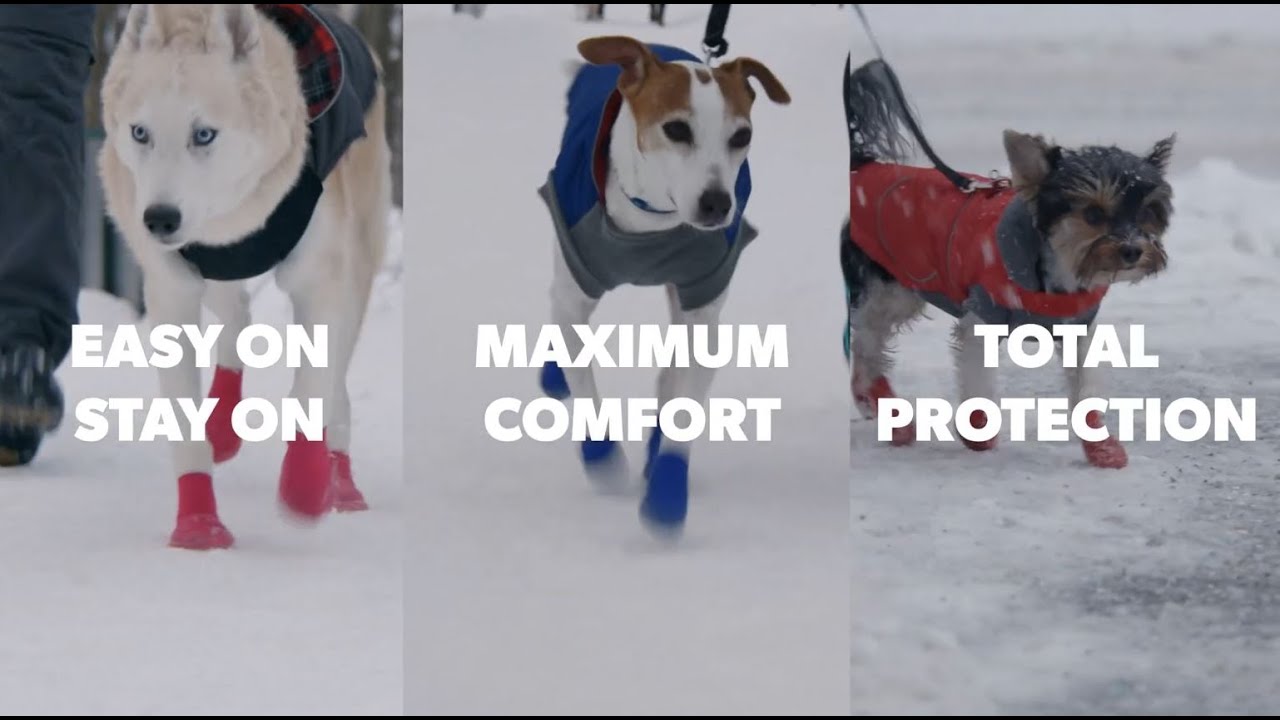 Goo-eez Dog Boots Lites 4 Per Pack L Rood/Zwart — afbeelding 5