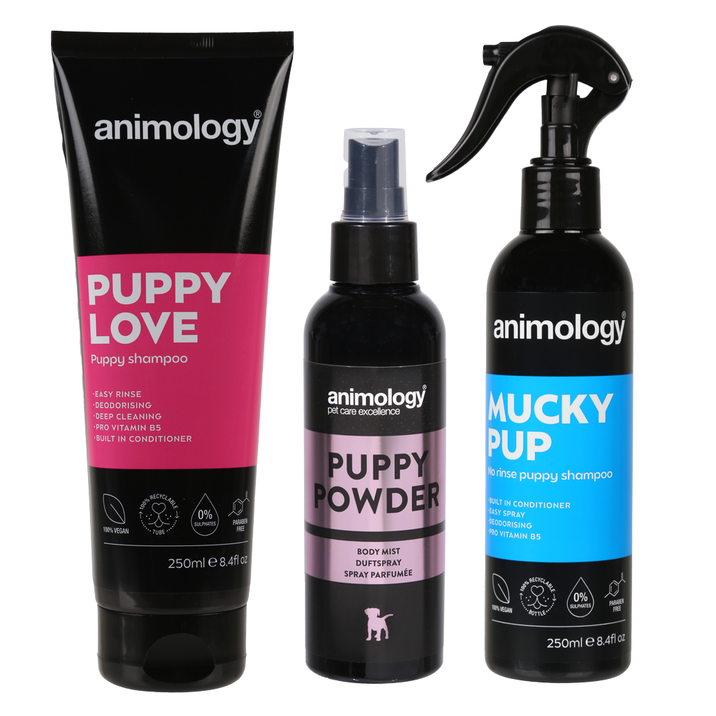Animology My First Puppy Pack — afbeelding 3
