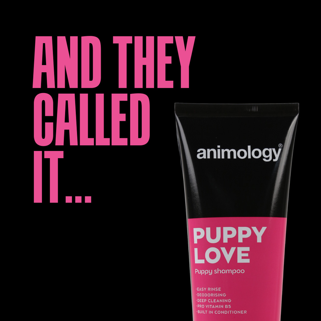 Animology Puppy Love Puppy Shampoo 250 ml — afbeelding 2
