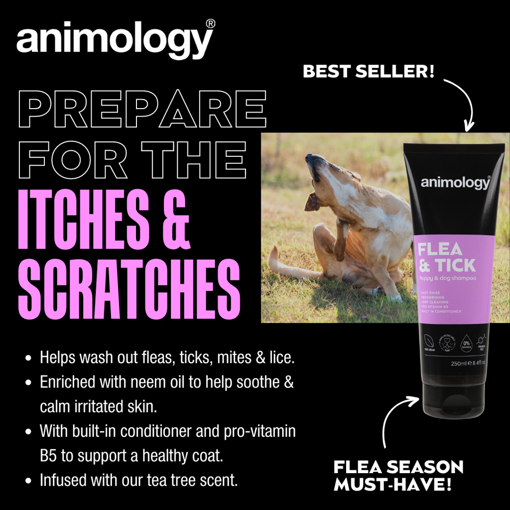Animology Flea & Tick Dog Shampoo 250 ml — afbeelding 2