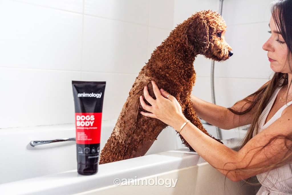 Animology Dogs Body Dog Shampoo 250 ml — afbeelding 3
