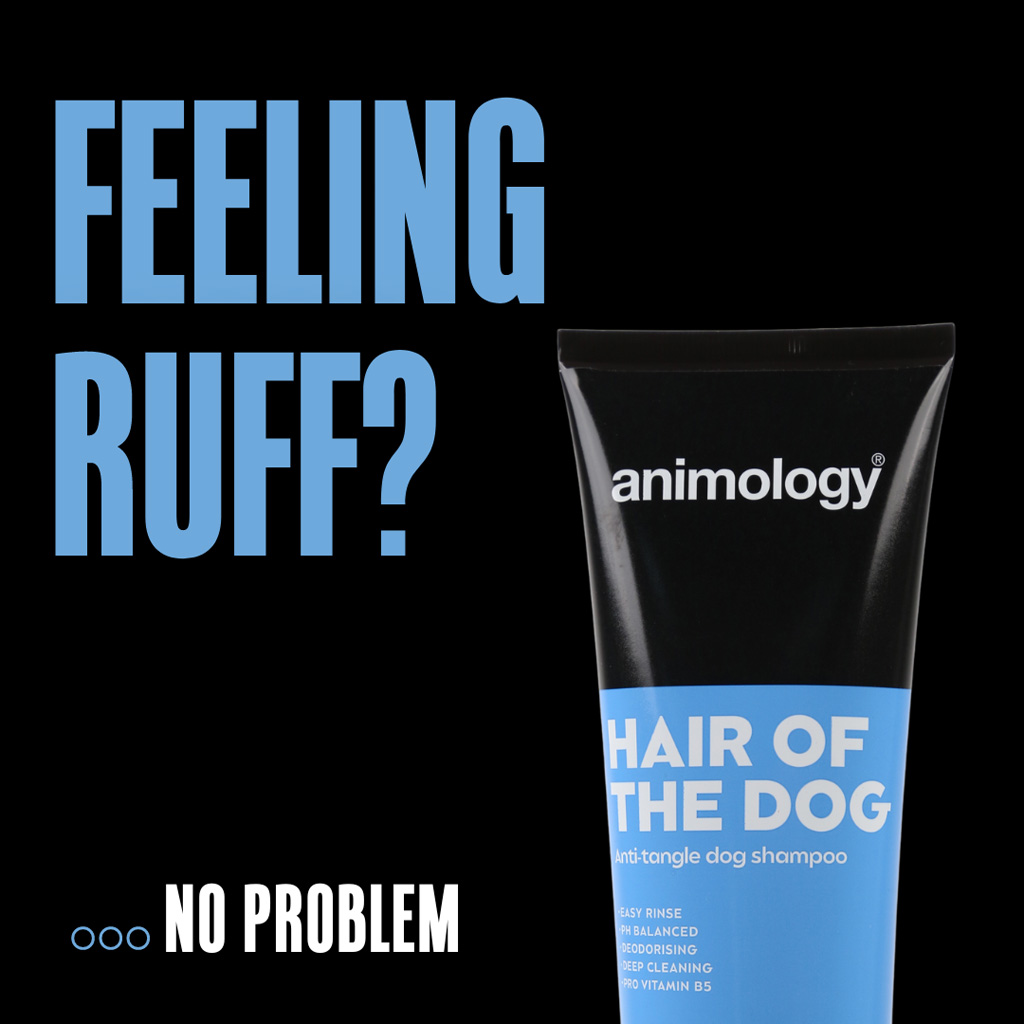 Animology Hair Of The Dog Anti-Tangle Dog Shampoo 250 ml — afbeelding 2