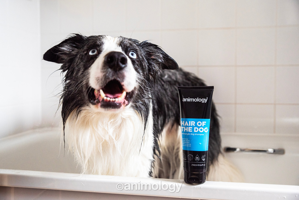 Animology Hair Of The Dog Anti-Tangle Dog Shampoo 250 ml — afbeelding 3