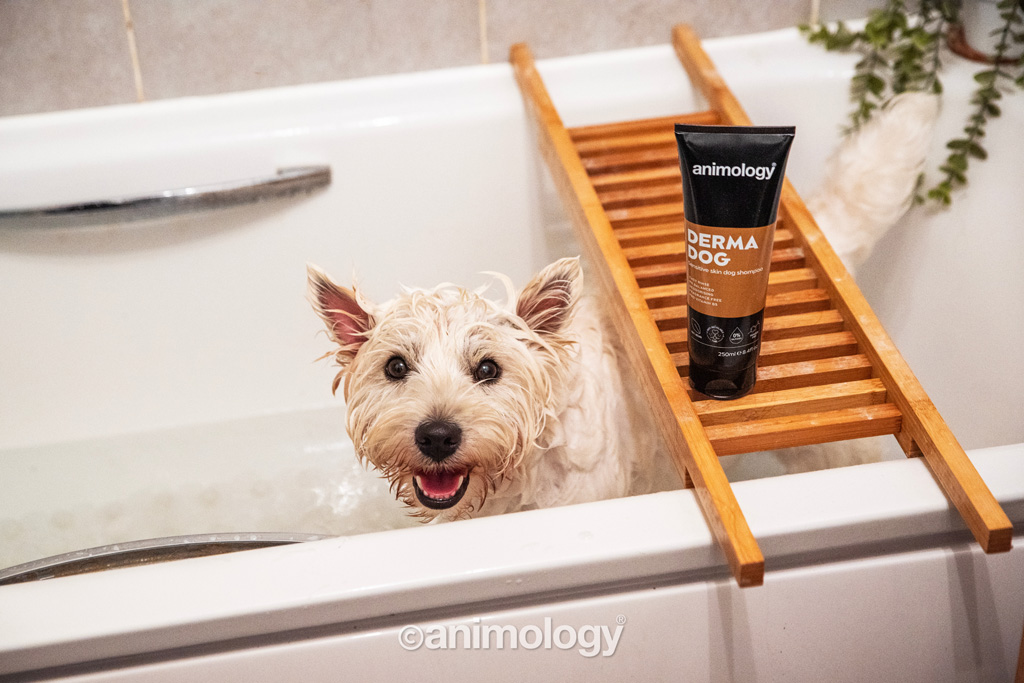 Animology Derma Dog Sensitive Skin Dog Shampoo 250 ml — afbeelding 3