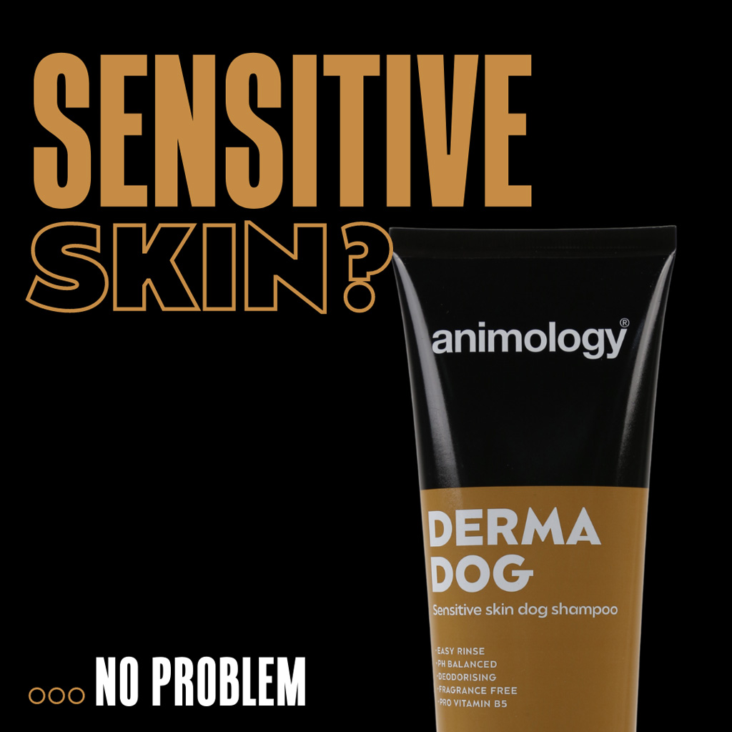 Animology Derma Dog Sensitive Skin Dog Shampoo 250 ml — afbeelding 2