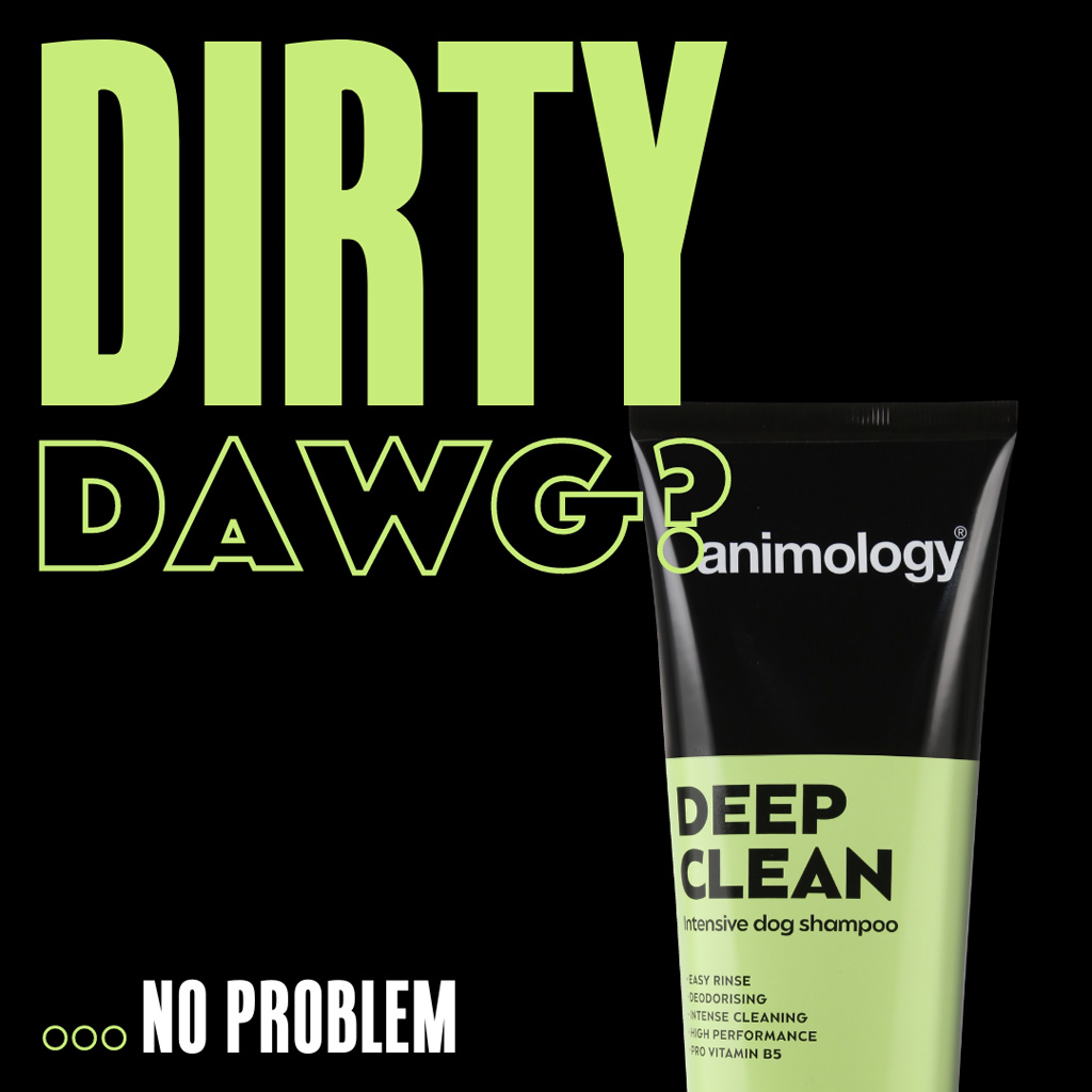 Animology Deep Clean Intensive Dog Shampoo 250 ml — afbeelding 3