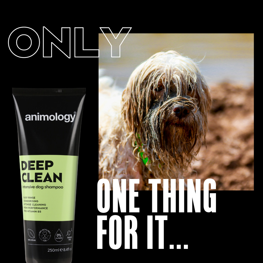 Animology Deep Clean Intensive Dog Shampoo 250 ml — afbeelding 2