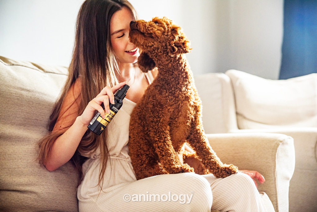 Animology Star Pups Body Mist 150 ml — afbeelding 2