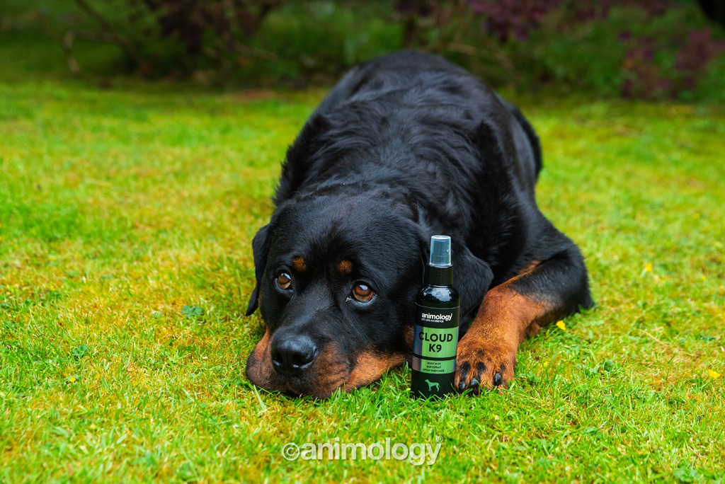 Animology Cloud K9 Body Mist 150 ml — afbeelding 2