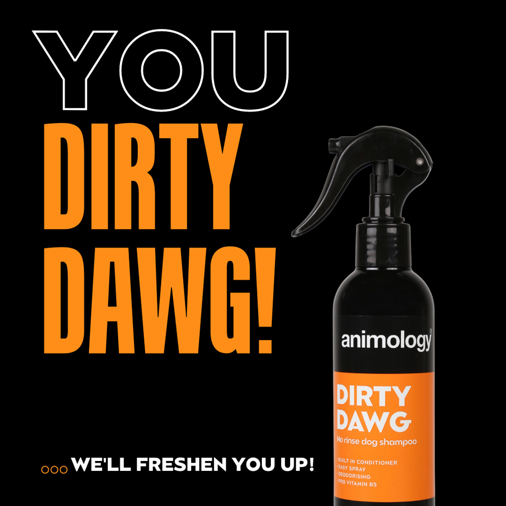 Animology Dirty Dawg No Rinse Dog Shampoo 250 ml — afbeelding 2