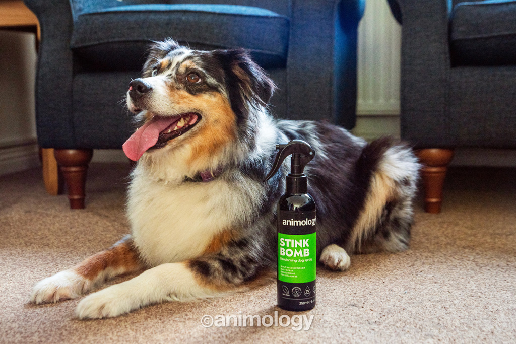 Animology Stink Bomb Deodorising Dog Spray 250 ml — afbeelding 2
