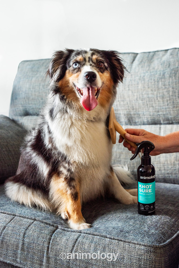 Animology Knot Sure De-Tangle Dog Spray 250 ml — afbeelding 2