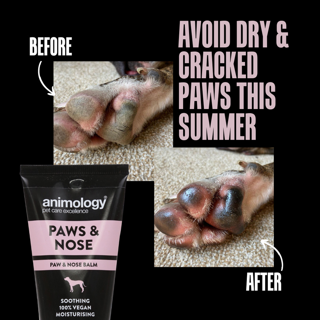Animology Paws & Nose Balm 50 ml — afbeelding 3