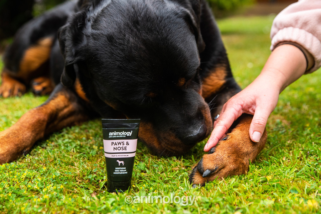 Animology Paws & Nose Balm 50 ml — afbeelding 5