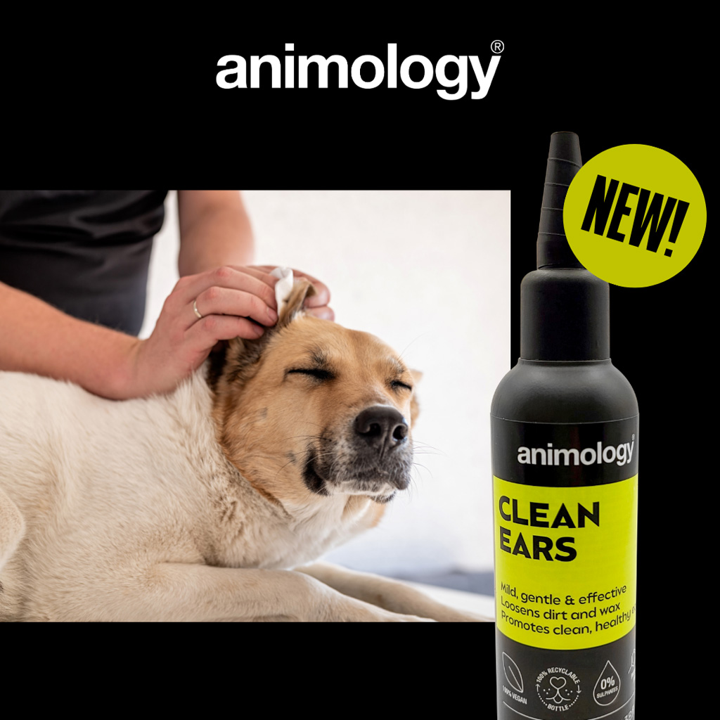Animology Clean Ears 100 ml — afbeelding 2