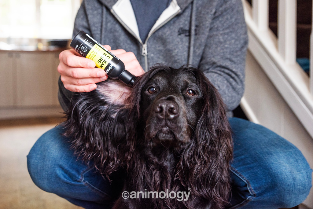 Animology Clean Ears 100 ml — afbeelding 4