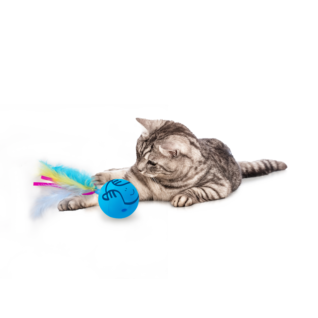 AFP Modern Cat Dizzy Spinner — afbeelding 3