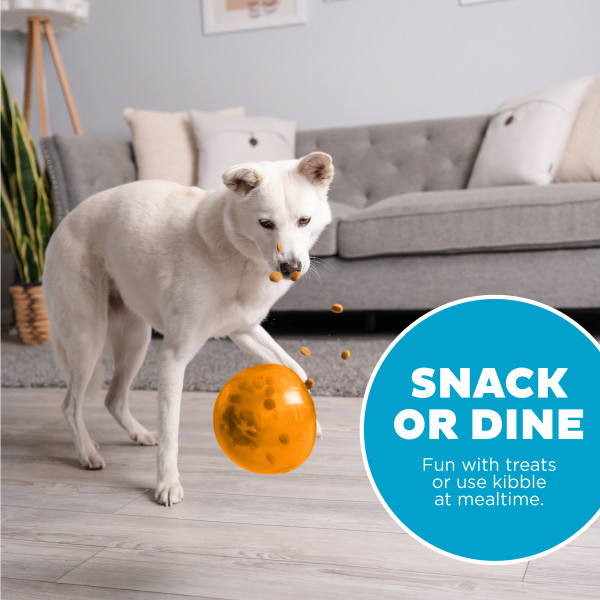 Outward Hound Orbee-Tuff Snoop L Oranje — afbeelding 6