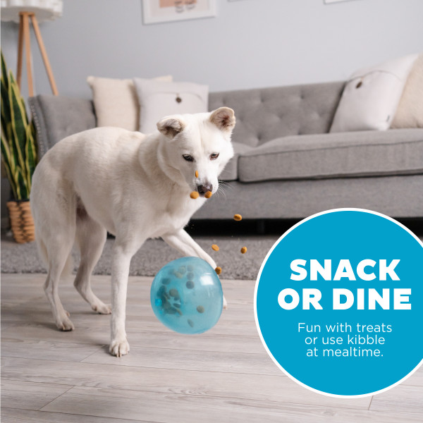 Outward Hound Orbee-Tuff Snoop L Blauw — afbeelding 6