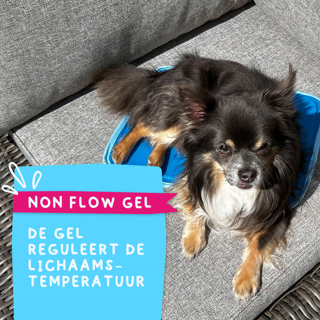 Coolpets Premium Solid gel Cooling Mat XS 40x30cm — afbeelding 6