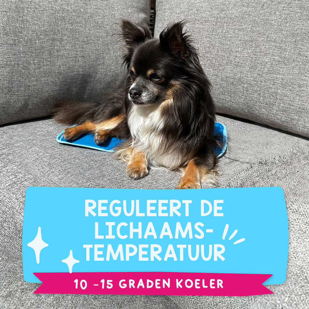 Coolpets Premium Solid gel Cooling Mat XS 40x30cm — afbeelding 4