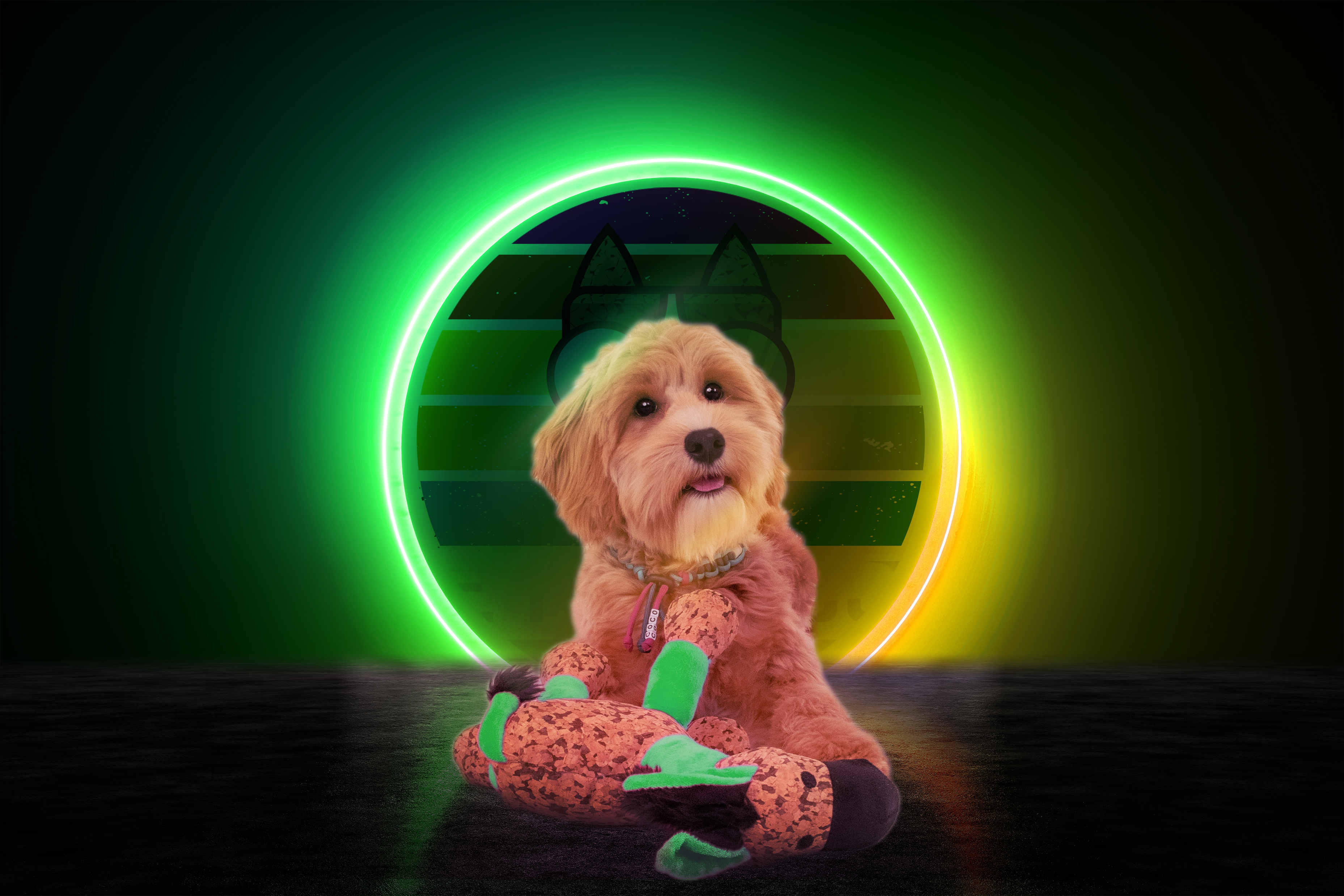 Retrodog Donkey Groen S — afbeelding 3