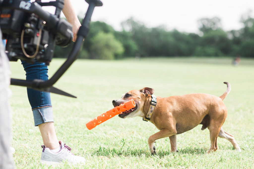 Chuckit! Air Fetch Stick — afbeelding 6