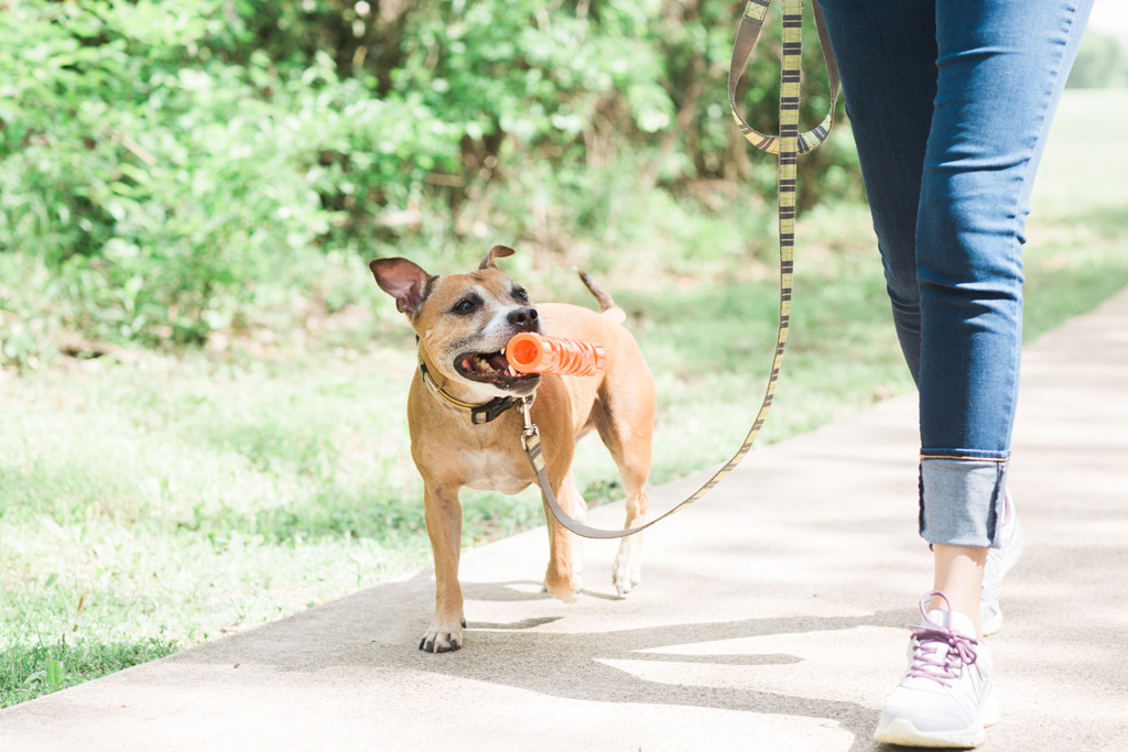 Chuckit! Air Fetch Stick — afbeelding 4