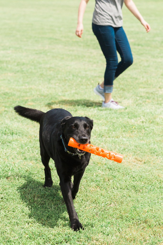 Chuckit! Air Fetch Stick — afbeelding 5