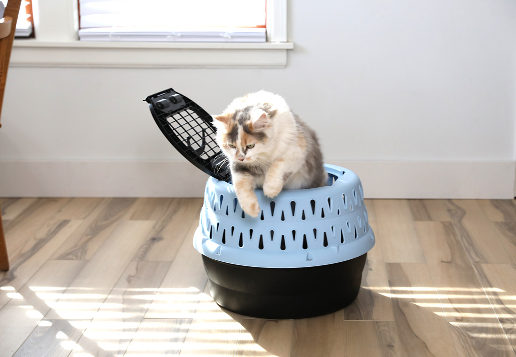 Petmate Get-A-Round Kennel For Cats Blue — afbeelding 5