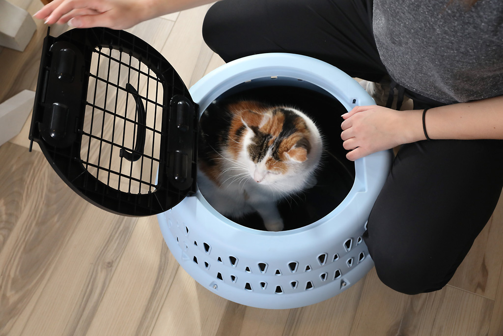 Petmate Get-A-Round Kennel For Cats Blue — afbeelding 6
