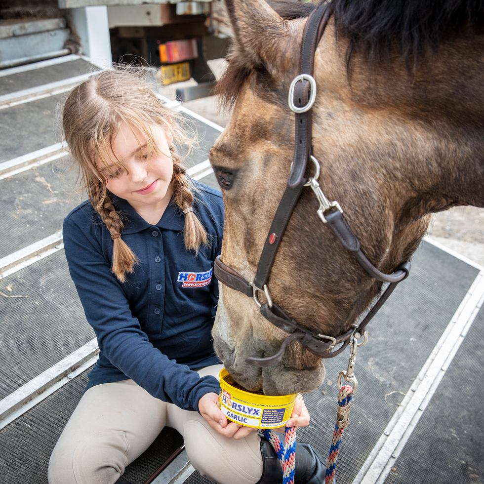 Horslyx Mini Knoflook — afbeelding 2