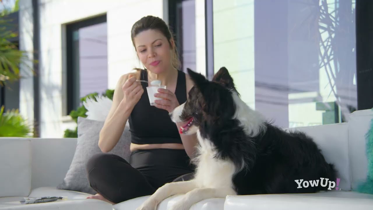 YowUp! Frozen Yoghurt Hot dog met Kaas — afbeelding 4