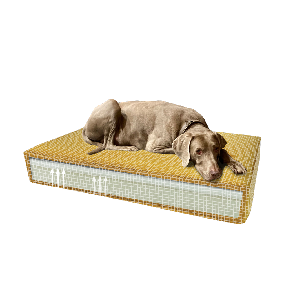 Madison Orthopedisch Kussen Velvet Geel S — afbeelding 2