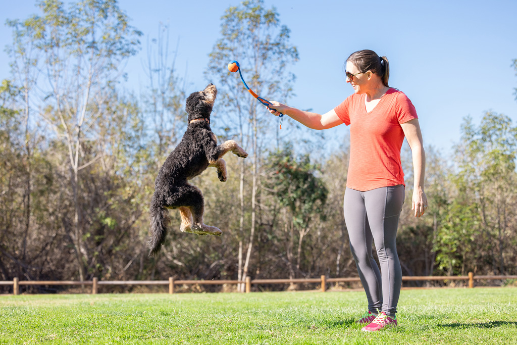 Chuckit! Fetch & Fold Launcher Mini — afbeelding 3