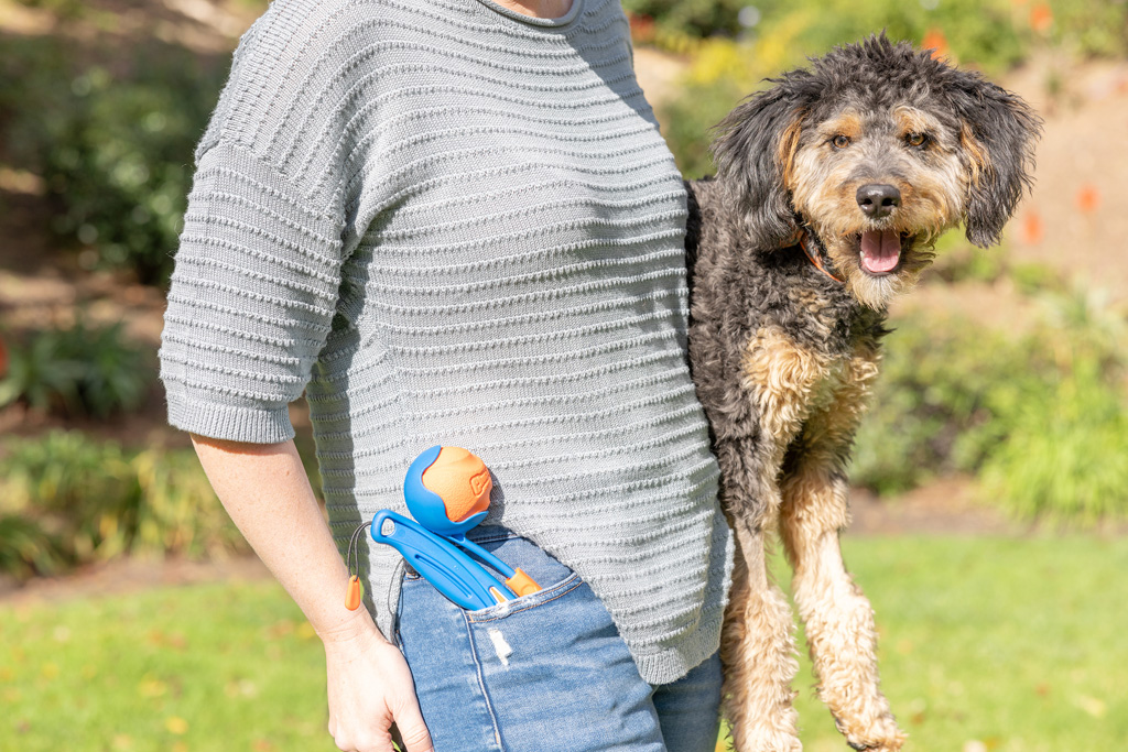 Chuckit! Fetch & Fold Launcher Mini — afbeelding 5