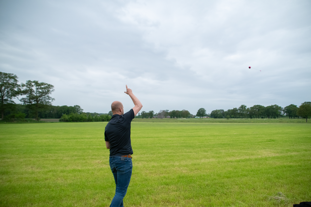 Dog Comets Blazar Jet Oranje — afbeelding 4