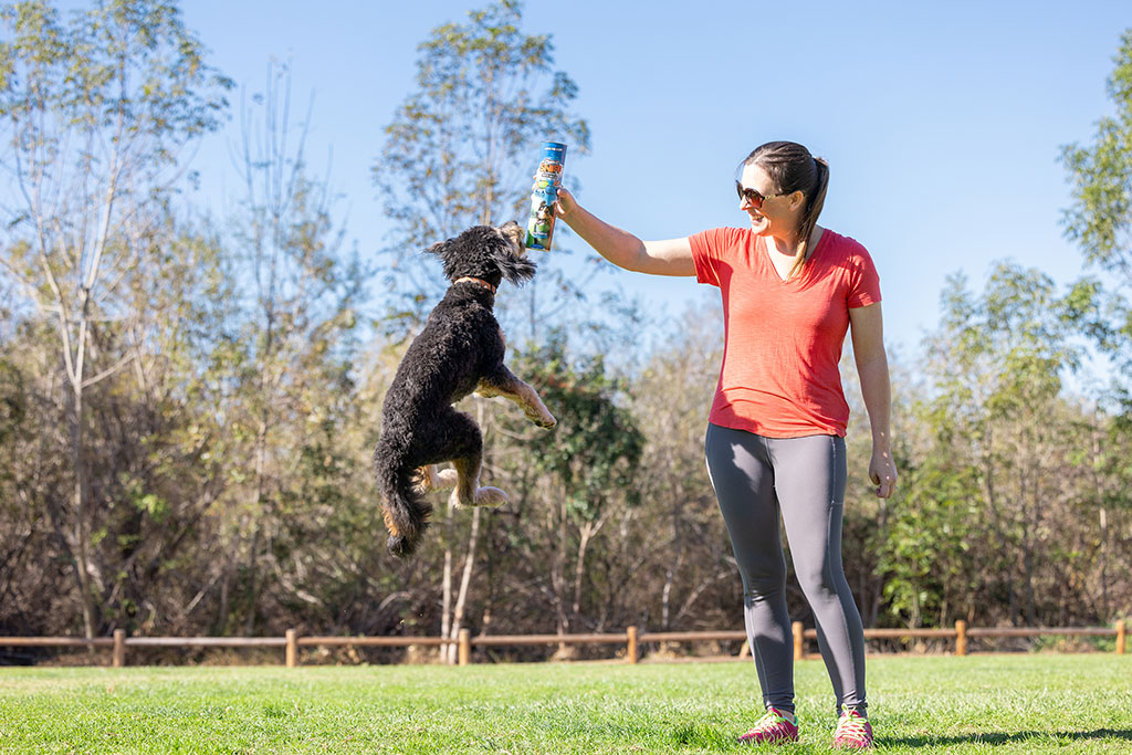 Chuckit! Sniff Fetch Ball Bacon & Peanut Butter M 4-pack — afbeelding 4
