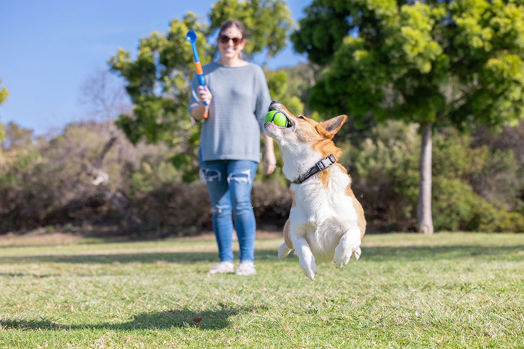 Chuckit! Sniff Fetch Ball Bacon & Peanut Butter M 4-pack — afbeelding 5