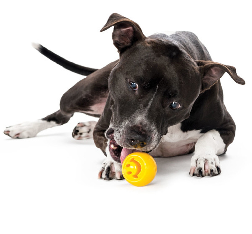 Outward Hound Orbee-Tuff Nooks Geel — afbeelding 2