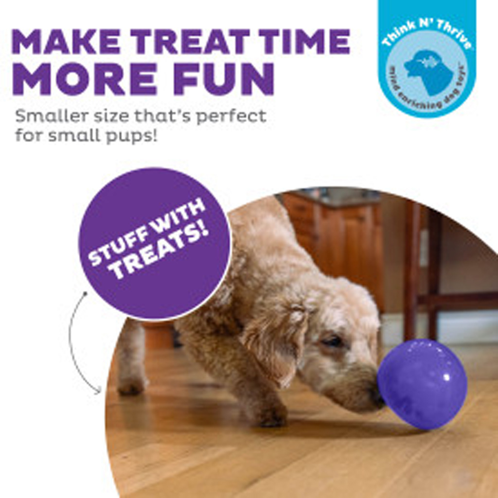 Outward Hound Orbee-Tuff Snoop M Paars — afbeelding 6