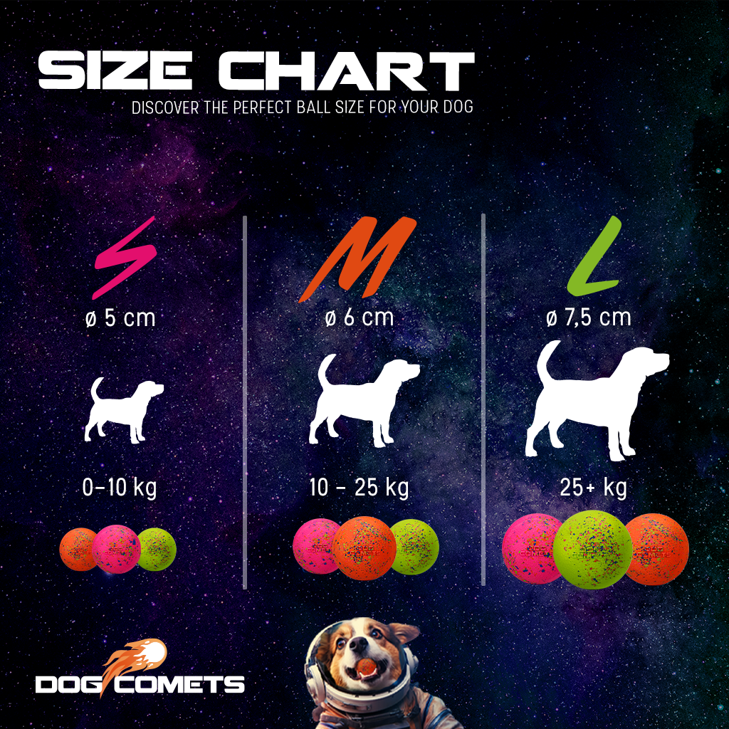 Dog Comets Stardust Oranje L — afbeelding 3