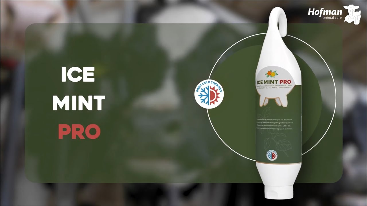 Ice Mint Pro Gel Sta- / Hangtube 500 ml — afbeelding 3