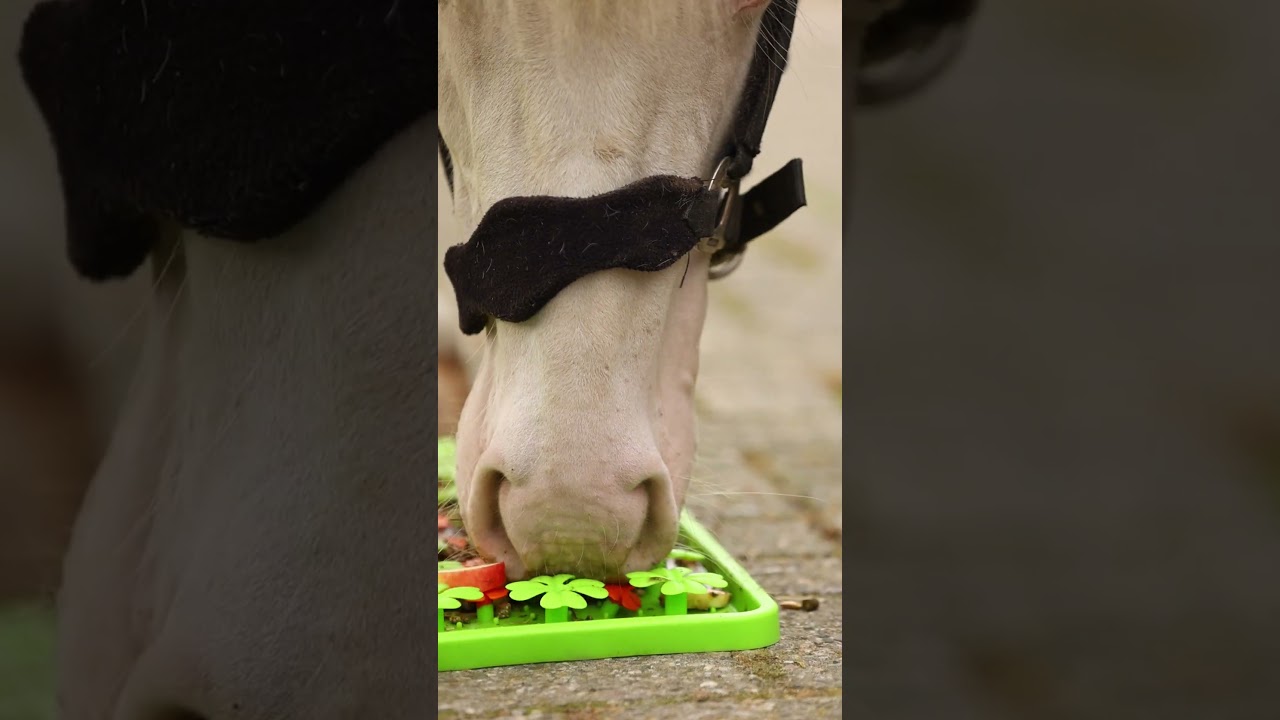 Excellent Horse Snuffle Mat — afbeelding 3